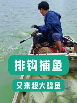 钓鱼短视频,短视频里的钓鱼生活剪影